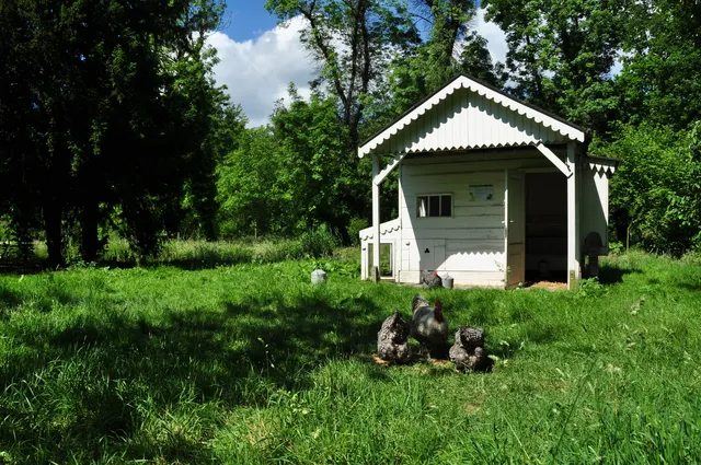 Groengebied Amstelland