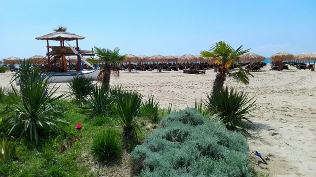 Плаж Венид Бийч