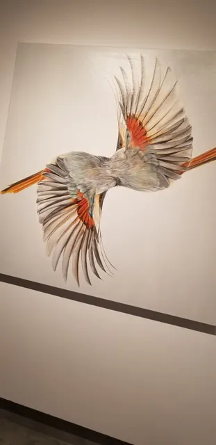 Donna Beam Fine Art Gallery