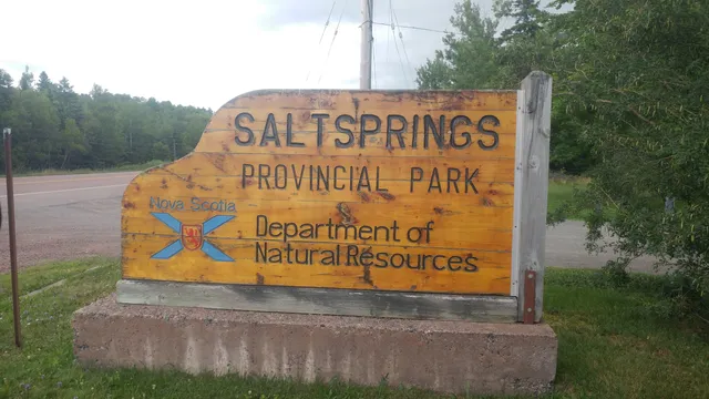 Salt Springs Provincial Park
