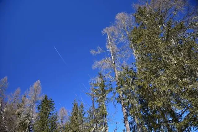 Avatar Flight of Passage