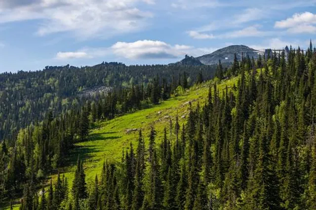 Shorskiy Natsional'nyy Park