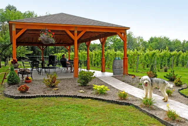 Maple Ridge Vineyard LLC