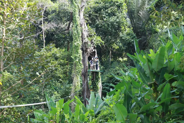 Cable Jungle Adventure Phuket
