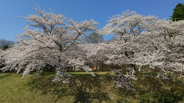 ジュウサンヅカコウエン