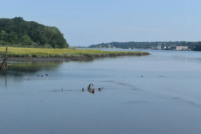 The Waterfront at Roslyn