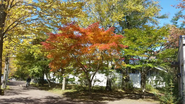 photo-2