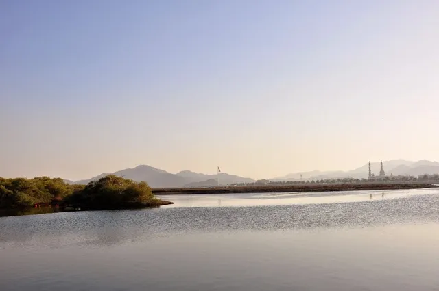 Khor Kalba Conservation Reserve