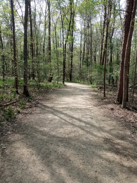 Reedy Creek Park Dog Park