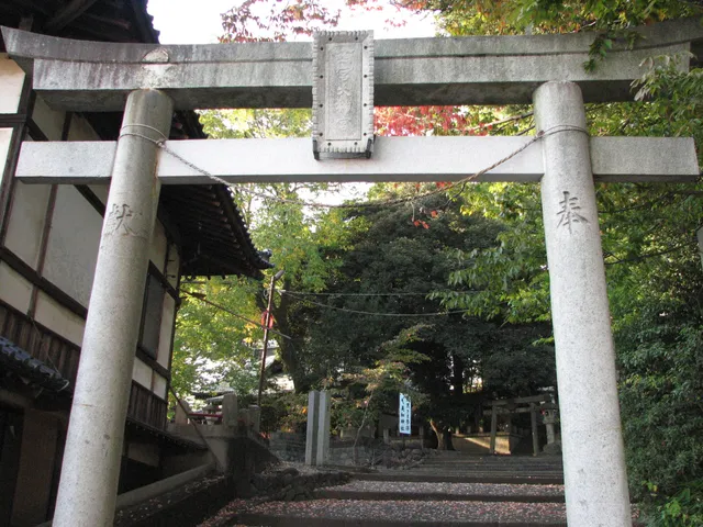 photo-1