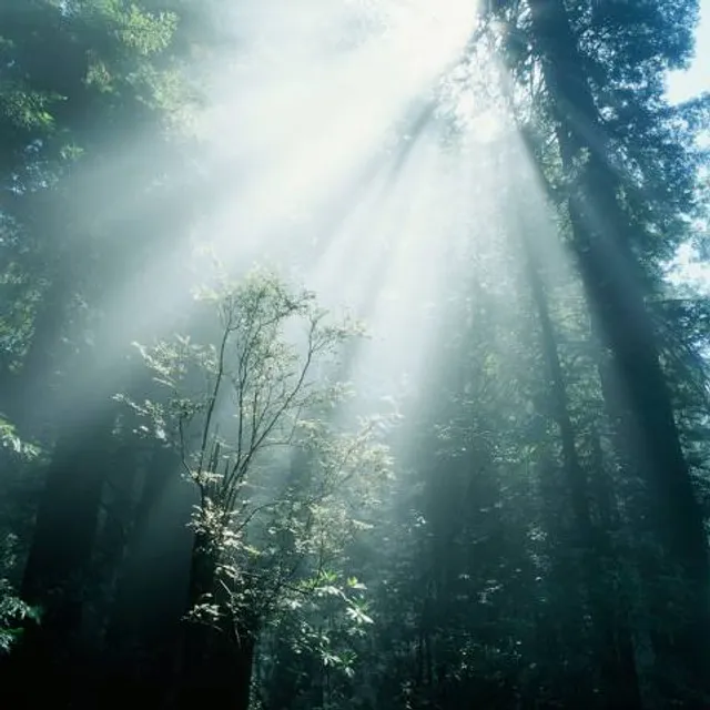 Yamadaike Park Management Office