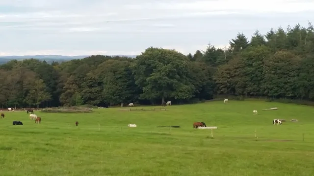 Lulworth Equestrian Centre