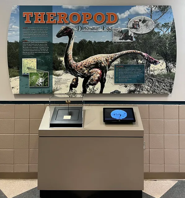 Auburn University Museum of Natural History