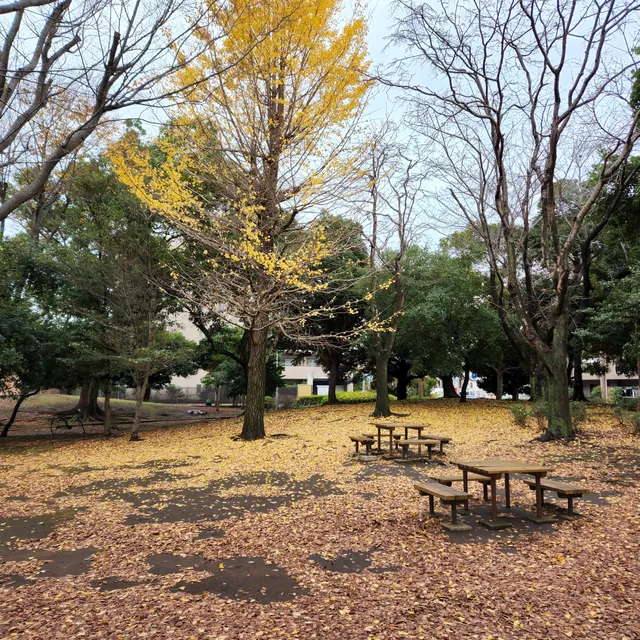 Chiba City Makuharidai Park