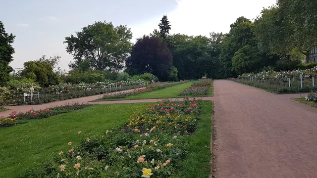 Rosengarten, Dresden