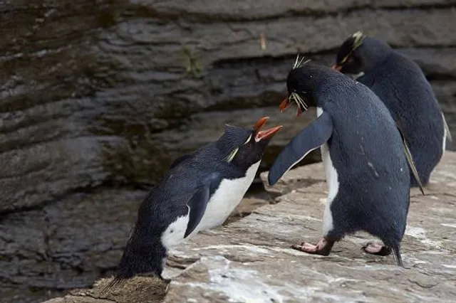 Andes Soul | Rafting Cajón del Maipo