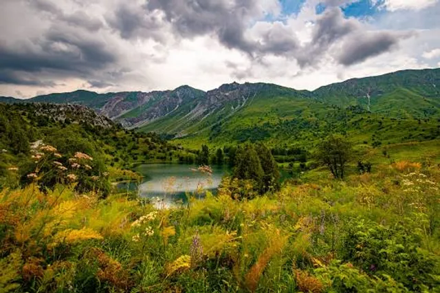 Sary-Chelek Nature Reserve