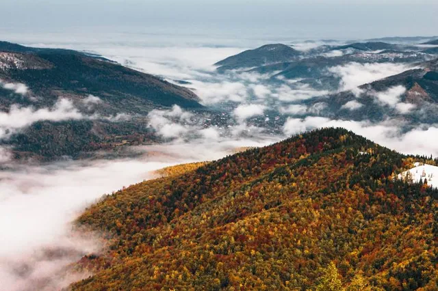 Carpathian National Nature Park