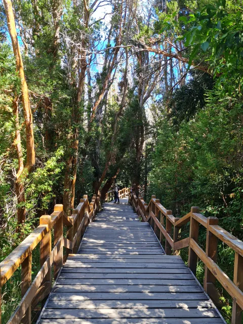 Parque Nacional Los Arrayanes