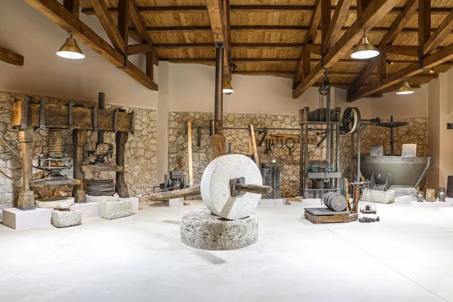 Enotis - Olive Groves & Museum