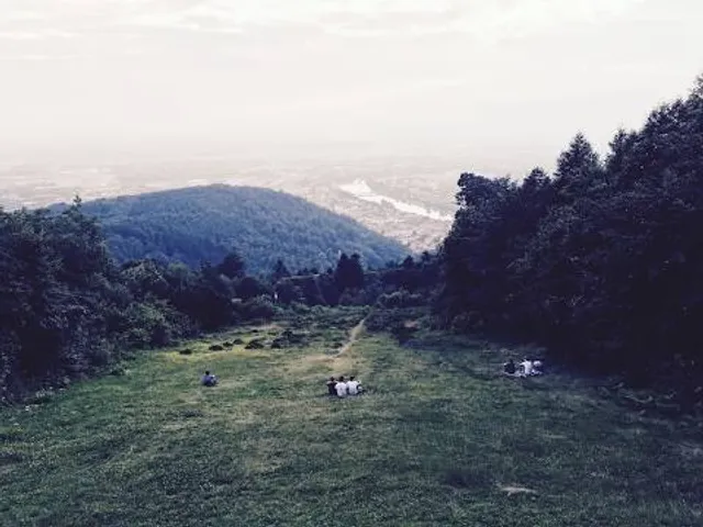 Tinnunculus Falknerei