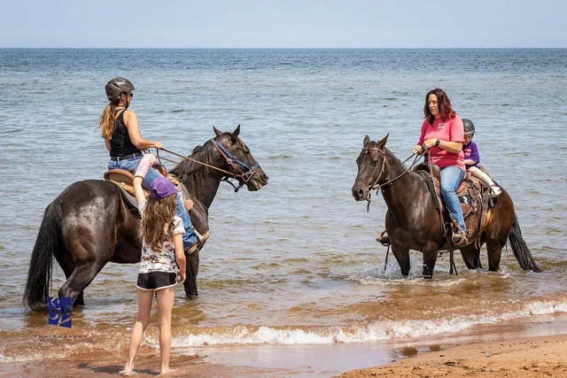 Lakeside Trail Rides