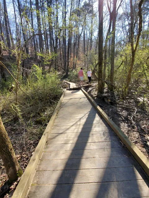 Cochran Shoals Trail - River Loop