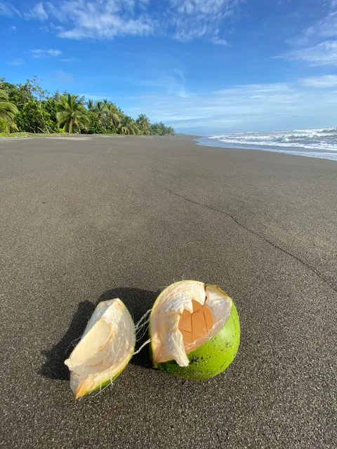 Asociación Salvemos las Tortugas de Parismina