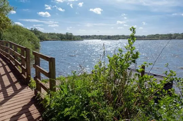 Fleet Pond Nature Reserve