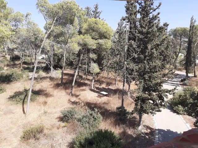 Rabin Park - Migdal Haemek