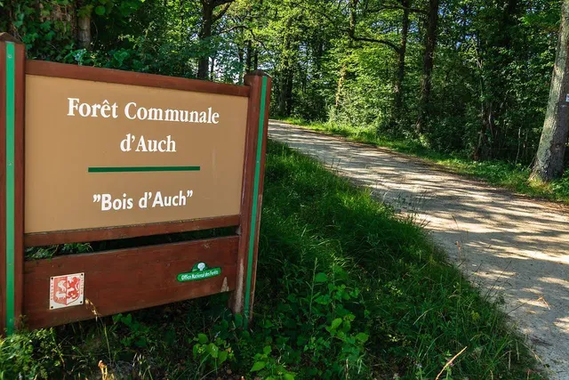 Bois d'Auch