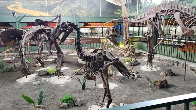 Natural Science Museum La Salle