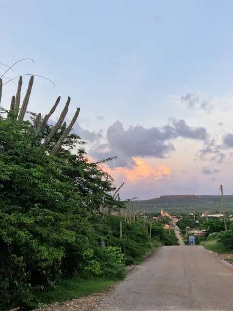 Sea Turtle Conservation Bonaire