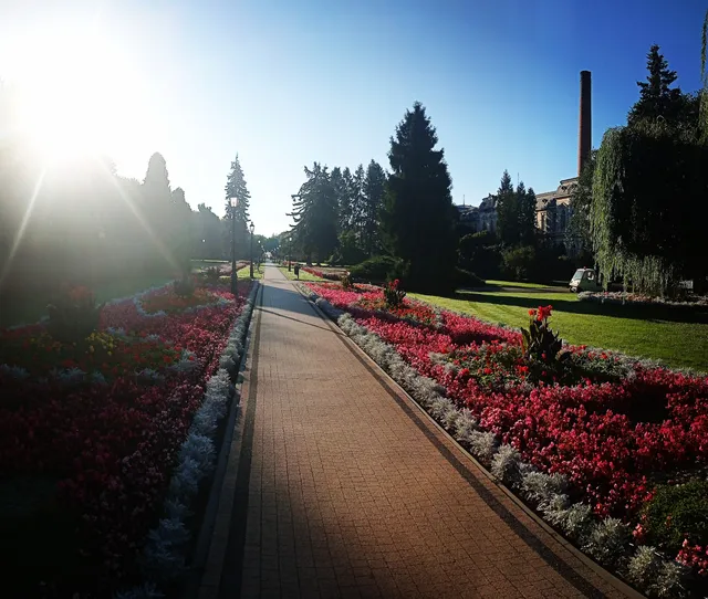 Ciechociński Deptak Sław