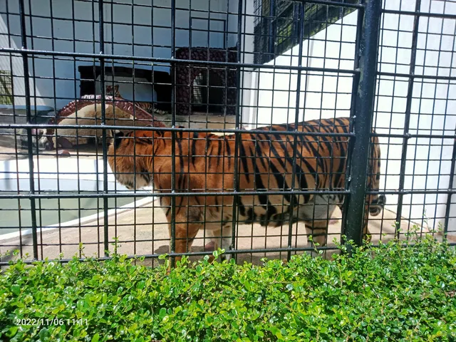 Bukidnon Zoological Park