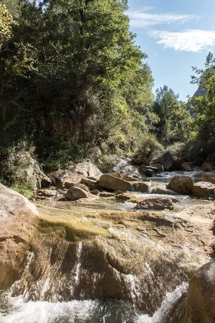 Parc de les Basses d'Alpicat