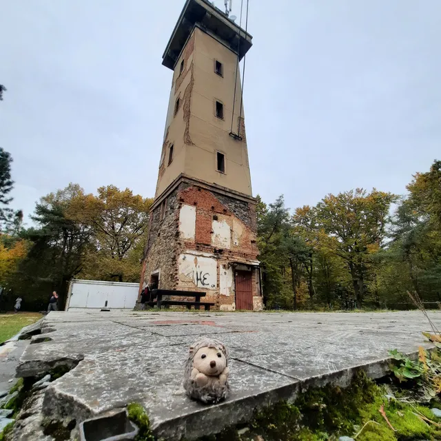 The lookout tower Chlum