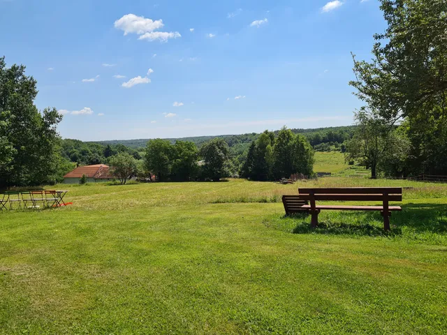 Vadvirág méhes- és gyógyítókert