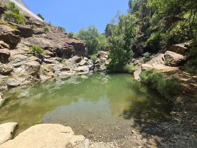 Charco las Viñas