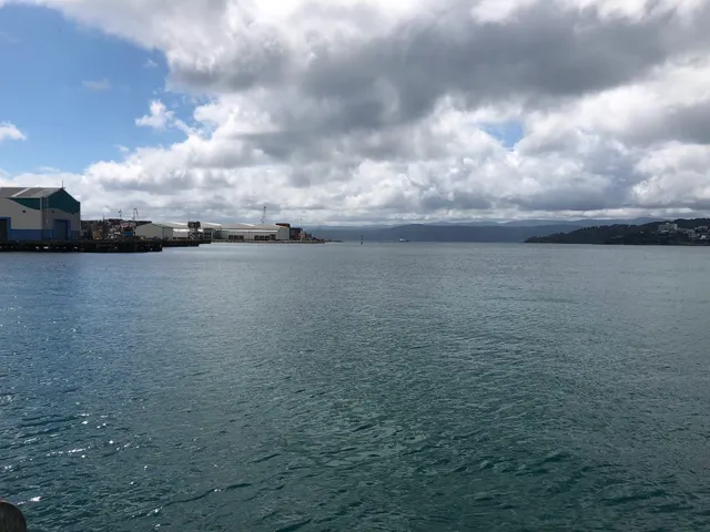 The Wharf, Wellington