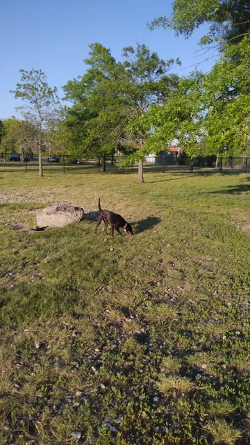 Salem Play Area for Canine Exercise (SPACE)