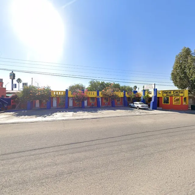 Hotel Cactus