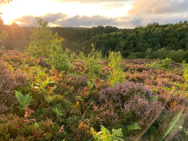 Björsåkra-Bölinge