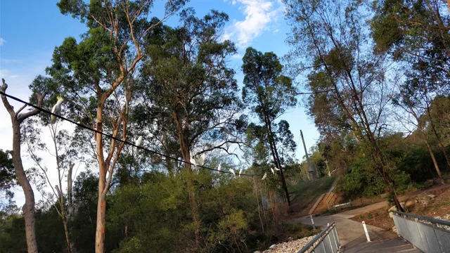 Field 6 Fred Caterson Reserve