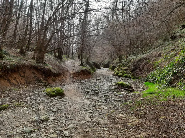 place image