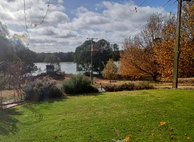 Whistling Kite Biodynamic Vineyard
