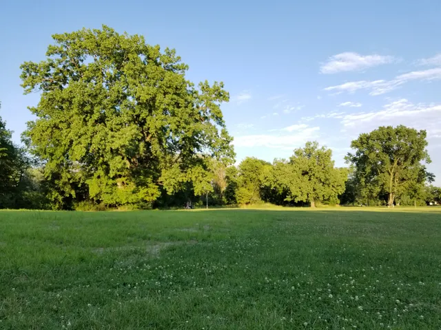Irene C. Hernandez Family Picnic Grove