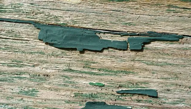 Fowlers Hollow State Park