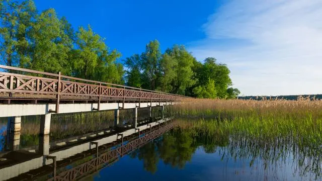 Jezioro Oleckie Wielkie