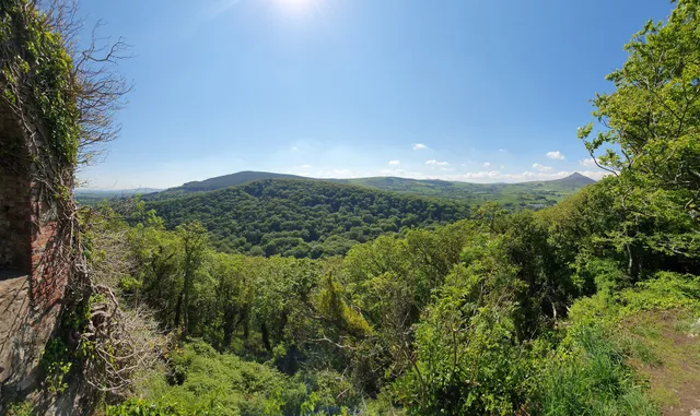 Glen of the Downs Nature Trail